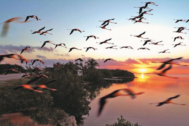 Tryp Cayo Coco