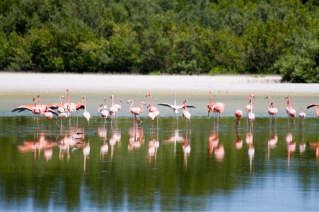 Sol Cayo Coco
