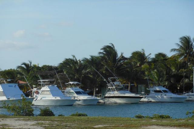 Sol Cayo Coco