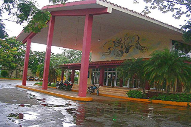Las Yagrumas