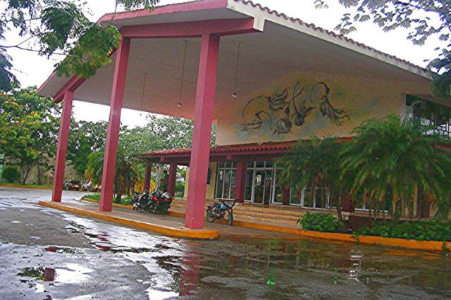 Las Yagrumas