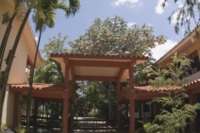 Las Yagrumas