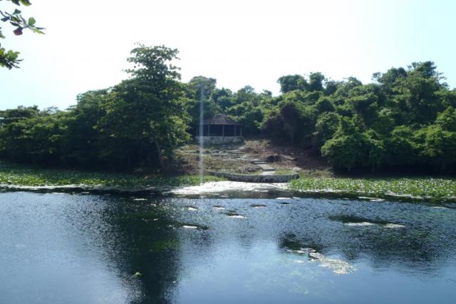 Las Yagrumas