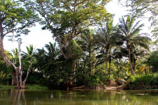 Ranweli Eco Village