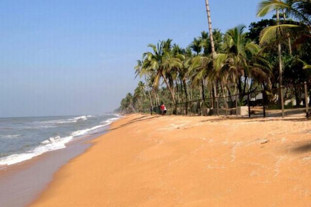 Hibiscus Beach