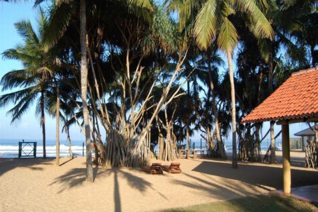 Hibiscus Beach