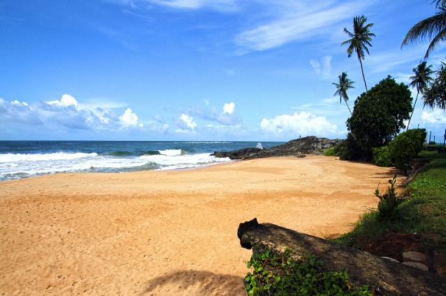 Pandanus Beach Resort & Spa