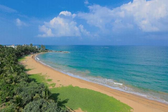 Pandanus Beach Resort & Spa