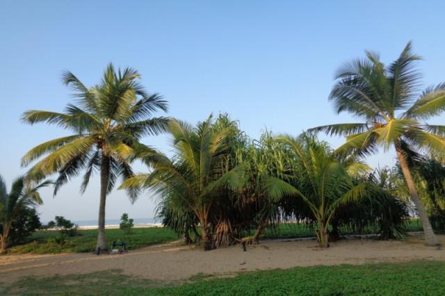 Riu Sri Lanka