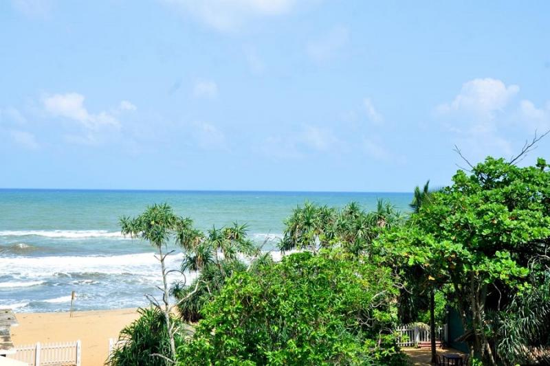 Green Shadows Beach