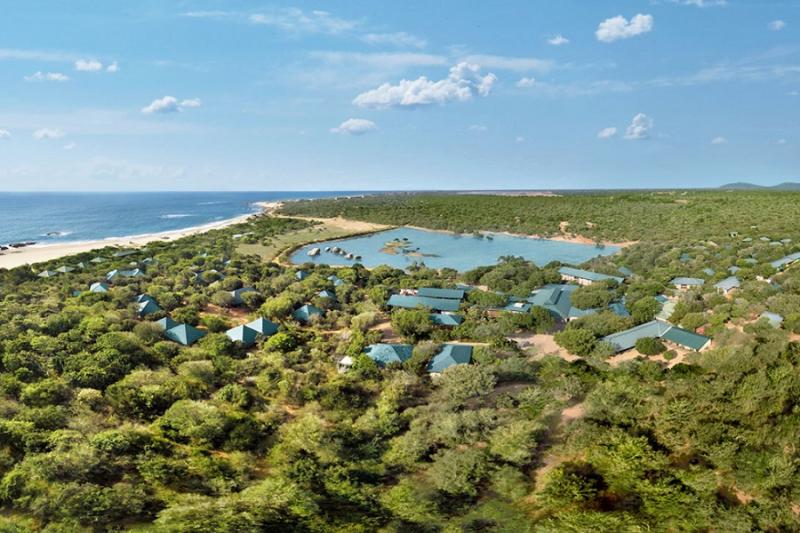 Cinnamon Wild Yala