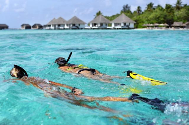 Gangehi Island Resort