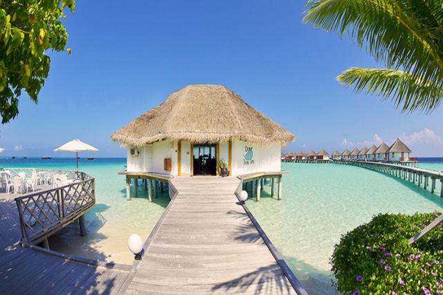 Safari Island Resort