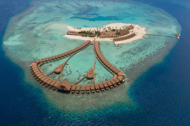 Cinnamon Velifushi