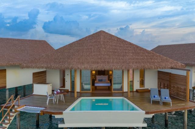Cinnamon Velifushi