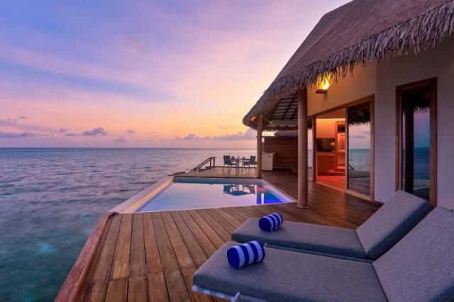 Cinnamon Velifushi