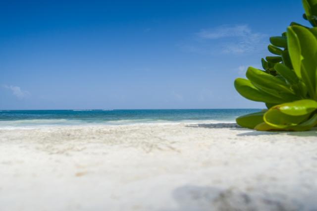 The Reef Coco Beach