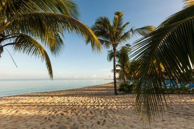 Occidental Allegro Cozumel