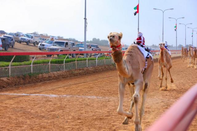 Ajman Saray a Luxury Collection