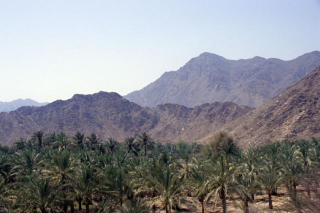 Miramar Al Aqah Beach