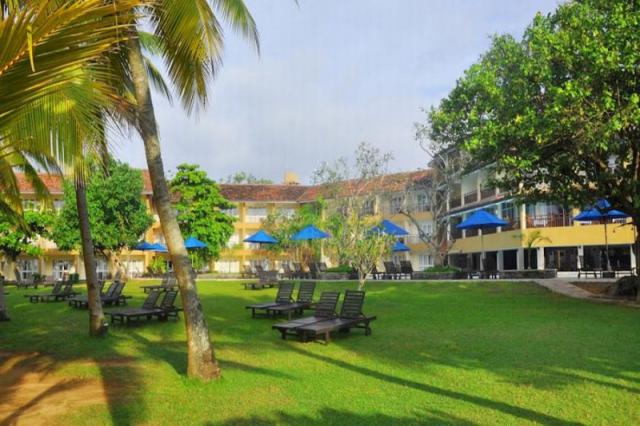 The Palms