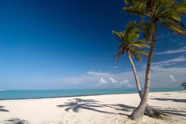 Iberostar Waves Dominicana