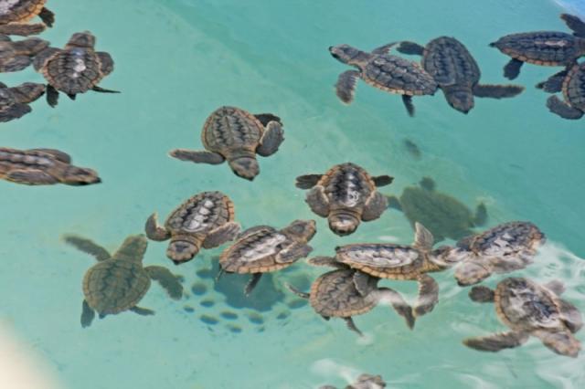 Cayo Largo