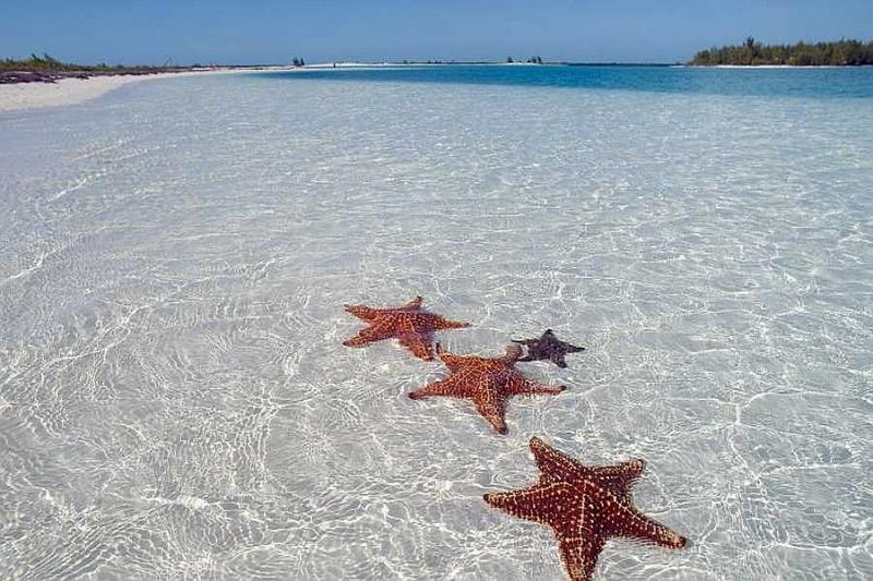 VARADERO / CAYO LARGO (Tuxpan 4* / Starfish Cayo Largo 4*)