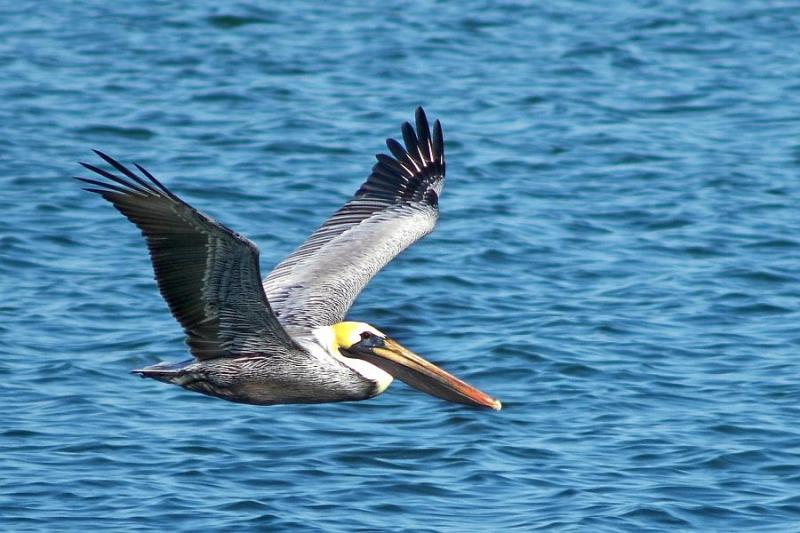 VARADERO / CAYO LARGO (Tuxpan 4* / Starfish Cayo Largo 4*)