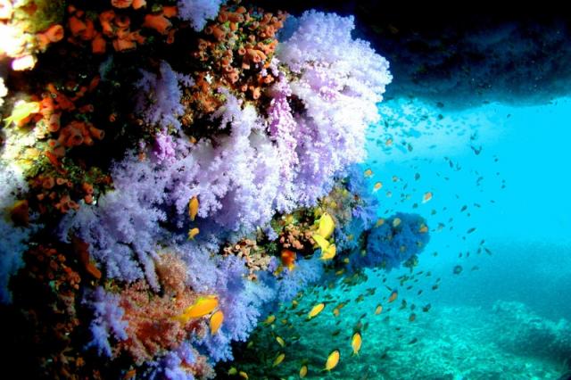 Jumeirah Olhahali Island