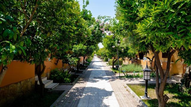 Özlem Garden