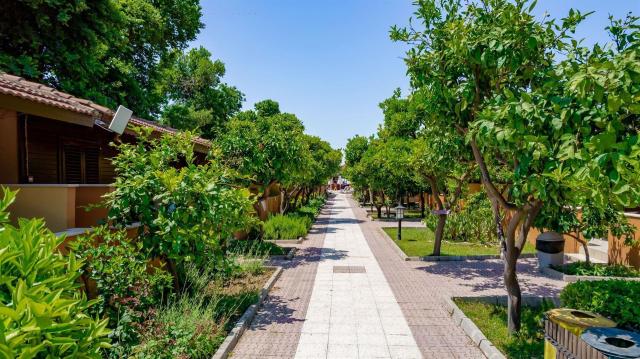 Özlem Garden
