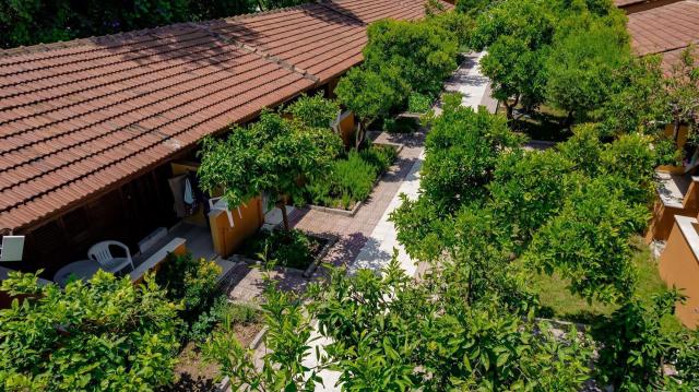 Özlem Garden