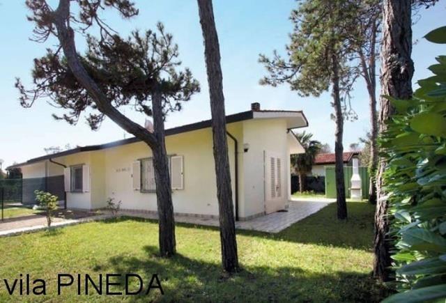 PINEDA_BIBIONE_01.JPG