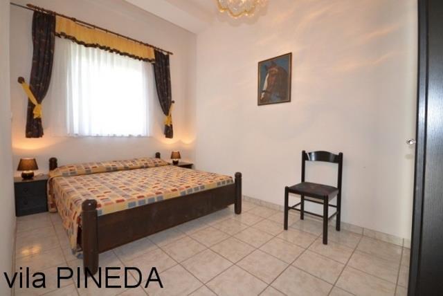 PINEDA_BIBIONE_04.JPG