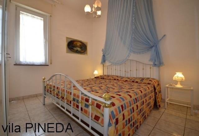 PINEDA_BIBIONE_03.JPG