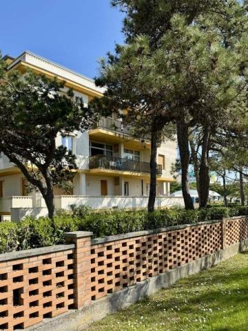 BIBIONE_MECCHIA_03.JPG