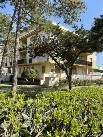 BIBIONE_MECCHIA_04.JPG