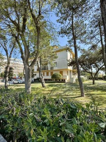 BIBIONE_MECCHIA_07.JPG