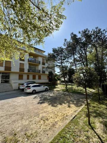BIBIONE_MECCHIA_08.JPG