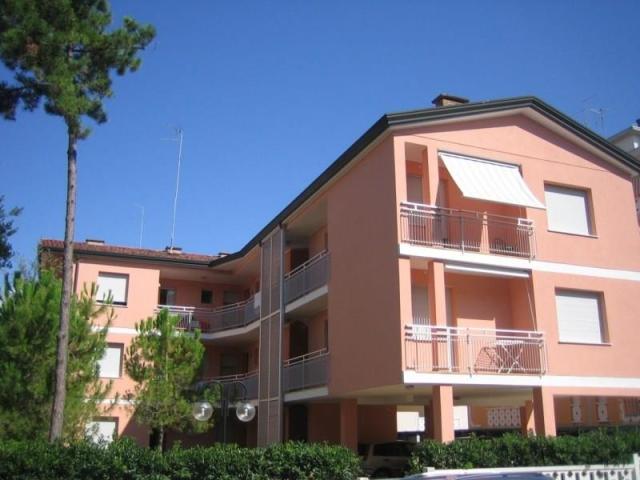 DEIPINI_BIBIONE_01.JPG