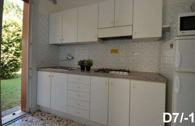 DOGI_SUD_BIBIONE_06.JPG