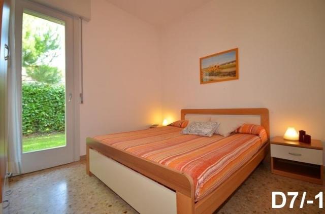 DOGI_SUD_BIBIONE_07.JPG