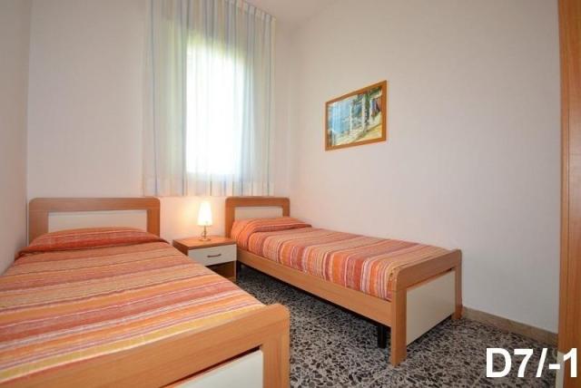 DOGI_SUD_BIBIONE_08.JPG