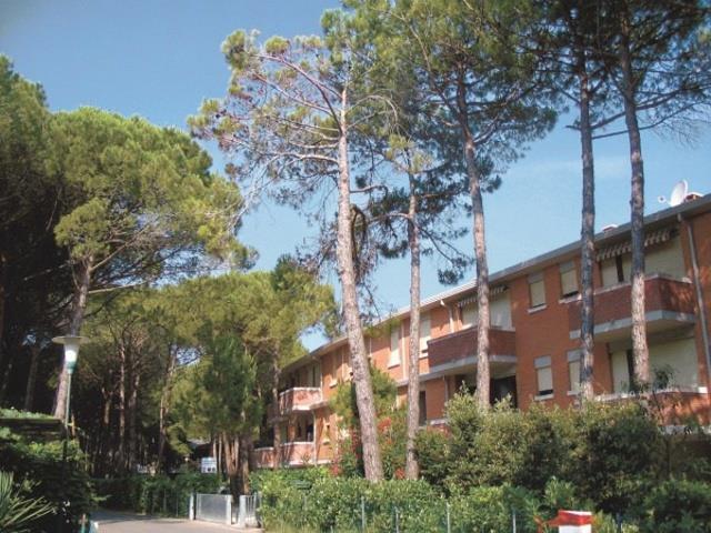 SPLENDID_SALISBURGO_BIBIONE_PINEDA_02.JPG