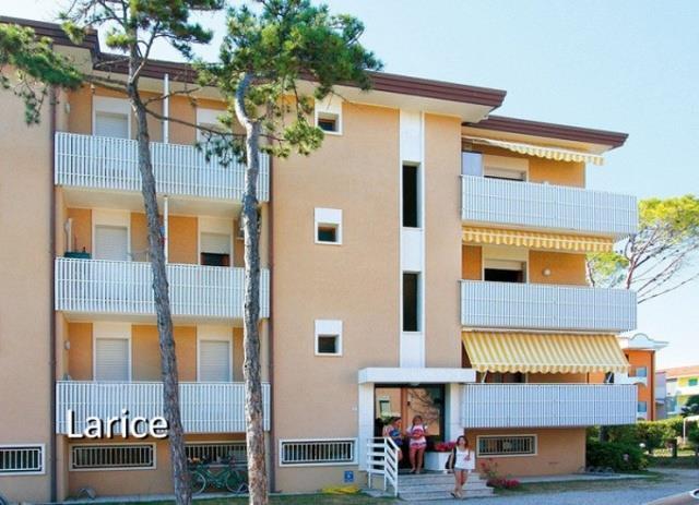 LARICE_AMBRA_BIBIONE_02.JPG