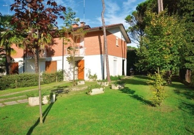SCHIERA_BIBIONE_01.JPG