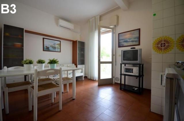 FLORIDA_BIBIONE_07.JPG