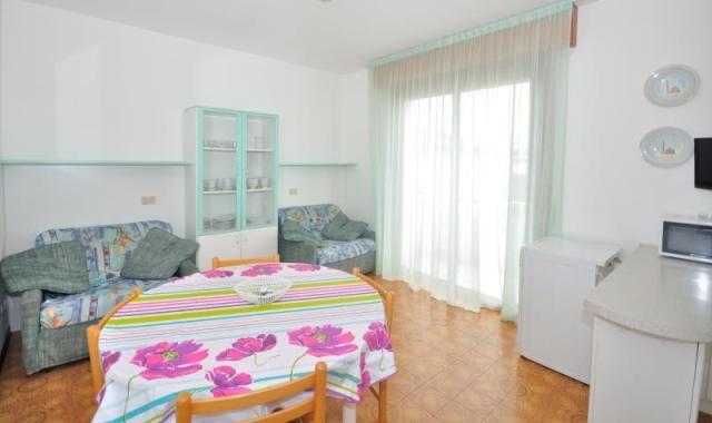 RANIERI_BIBIONE_10.JPG