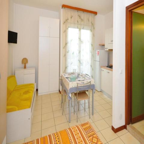 JET_bibione_06